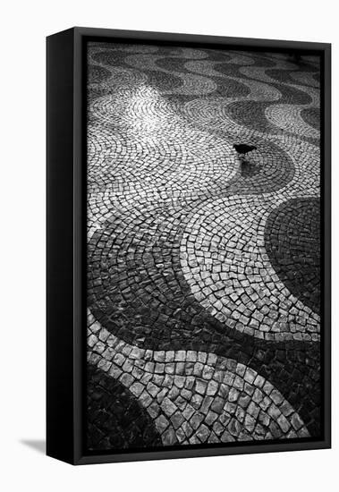 A Common Wood Pigeon on the Portuguese Tiles of Rossio Square at Sunset-Alex Saberi-Framed Stretched Canvas