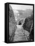 A Communication Trench and Path Towards the Front, France, World War I, 1915-null-Framed Stretched Canvas