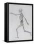 A Comparative Anatomical Exposition of the Structure of the Human Body with That of a Tiger and a…-George Stubbs-Framed Stretched Canvas