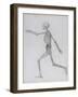 A Comparative Anatomical Exposition of the Structure of the Human Body with That of a Tiger and a…-George Stubbs-Framed Giclee Print