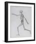 A Comparative Anatomical Exposition of the Structure of the Human Body with That of a Tiger and a…-George Stubbs-Framed Giclee Print