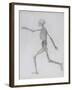 A Comparative Anatomical Exposition of the Structure of the Human Body with That of a Tiger and a…-George Stubbs-Framed Giclee Print