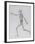 A Comparative Anatomical Exposition of the Structure of the Human Body with That of a Tiger and a…-George Stubbs-Framed Giclee Print