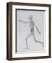 A Comparative Anatomical Exposition of the Structure of the Human Body with That of a Tiger and a…-George Stubbs-Framed Giclee Print