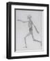 A Comparative Anatomical Exposition of the Structure of the Human Body with That of a Tiger and a…-George Stubbs-Framed Giclee Print