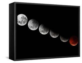 A Composite Showing Different Stages of the 2010 Solstice Total Moon Eclipse-Stocktrek Images-Framed Stretched Canvas