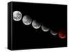 A Composite Showing Different Stages of the 2010 Solstice Total Moon Eclipse-Stocktrek Images-Framed Stretched Canvas