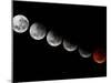 A Composite Showing Different Stages of the 2010 Solstice Total Moon Eclipse-Stocktrek Images-Mounted Premium Photographic Print