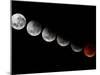 A Composite Showing Different Stages of the 2010 Solstice Total Moon Eclipse-Stocktrek Images-Mounted Photographic Print