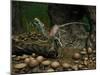 A Compsognathus Prepares to Swallow a Small Lizard-Stocktrek Images-Mounted Photographic Print