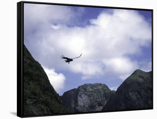 A Condor Flying Through the Mountains-Pablo Sandor-Framed Stretched Canvas