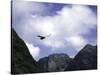 A Condor Flying Through the Mountains-Pablo Sandor-Stretched Canvas