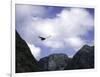 A Condor Flying Through the Mountains-Pablo Sandor-Framed Premium Photographic Print