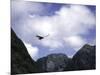 A Condor Flying Through the Mountains-Pablo Sandor-Mounted Premium Photographic Print