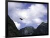 A Condor Flying Through the Mountains-Pablo Sandor-Framed Premium Photographic Print