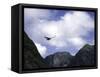 A Condor Flying Through the Mountains-Pablo Sandor-Framed Stretched Canvas