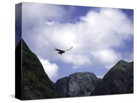A Condor Flying Through the Mountains-Pablo Sandor-Stretched Canvas