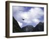 A Condor Flying Through the Mountains-Pablo Sandor-Framed Photographic Print