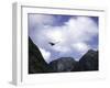 A Condor Flying Through the Mountains-Pablo Sandor-Framed Photographic Print