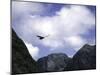 A Condor Flying Through the Mountains-Pablo Sandor-Mounted Photographic Print