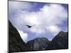A Condor Flying Through the Mountains-Pablo Sandor-Mounted Photographic Print