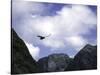 A Condor Flying Through the Mountains-Pablo Sandor-Stretched Canvas