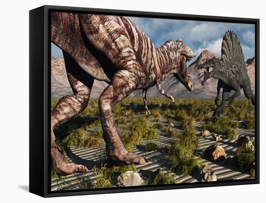 A Confrontation Between a T. Rex and a Spinosaurus Dinosaur-Stocktrek Images-Framed Stretched Canvas