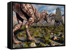 A Confrontation Between a T. Rex and a Spinosaurus Dinosaur-Stocktrek Images-Framed Stretched Canvas