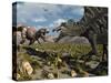 A Confrontation Between a T. Rex and a Spinosaurus Dinosaur-Stocktrek Images-Stretched Canvas