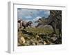 A Confrontation Between a T. Rex and a Spinosaurus Dinosaur-Stocktrek Images-Framed Photographic Print