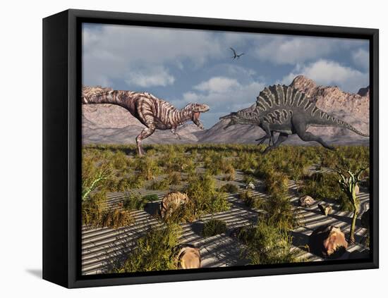 A Confrontation Between a T. Rex and a Spinosaurus Dinosaur-Stocktrek Images-Framed Stretched Canvas