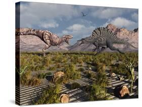 A Confrontation Between a T. Rex and a Spinosaurus Dinosaur-Stocktrek Images-Stretched Canvas