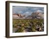 A Confrontation Between a T. Rex and a Spinosaurus Dinosaur-Stocktrek Images-Framed Photographic Print