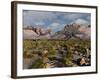 A Confrontation Between a T. Rex and a Spinosaurus Dinosaur-Stocktrek Images-Framed Photographic Print