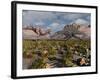 A Confrontation Between a T. Rex and a Spinosaurus Dinosaur-Stocktrek Images-Framed Photographic Print