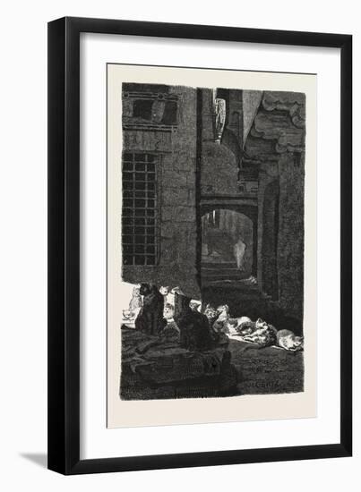 A Congress of Cats in the Sun. Egypt, 1879-null-Framed Giclee Print