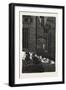A Congress of Cats in the Sun. Egypt, 1879-null-Framed Giclee Print