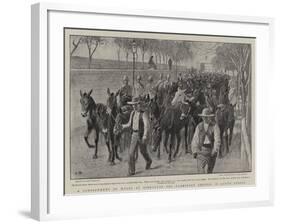 A Consignment of Mules at Gibraltar for Transport Service in South Africa-John Charlton-Framed Giclee Print