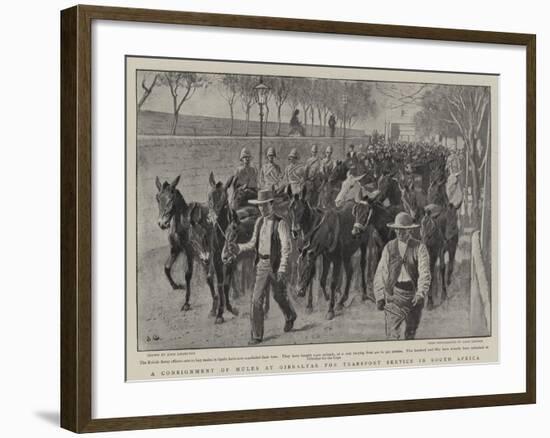 A Consignment of Mules at Gibraltar for Transport Service in South Africa-John Charlton-Framed Giclee Print