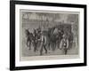 A Consignment of Mules at Gibraltar for Transport Service in South Africa-John Charlton-Framed Giclee Print