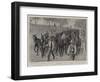 A Consignment of Mules at Gibraltar for Transport Service in South Africa-John Charlton-Framed Giclee Print