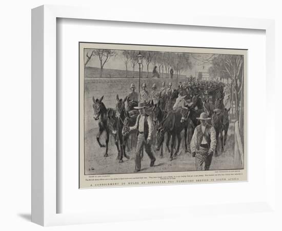 A Consignment of Mules at Gibraltar for Transport Service in South Africa-John Charlton-Framed Premium Giclee Print