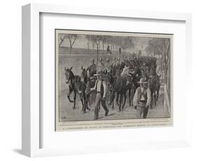A Consignment of Mules at Gibraltar for Transport Service in South Africa-John Charlton-Framed Premium Giclee Print