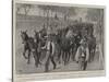 A Consignment of Mules at Gibraltar for Transport Service in South Africa-John Charlton-Stretched Canvas