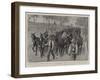 A Consignment of Mules at Gibraltar for Transport Service in South Africa-John Charlton-Framed Giclee Print