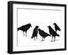 A Conspiracy of Ravens No. 2-Janel Bragg-Framed Art Print