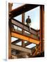 A Construction Worker Stands on a Steel Beam While Working on a High Rise Building-null-Framed Photographic Print