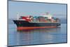 A Container Ship Anchored in a Harbour.-Gary Blakeley-Mounted Photographic Print