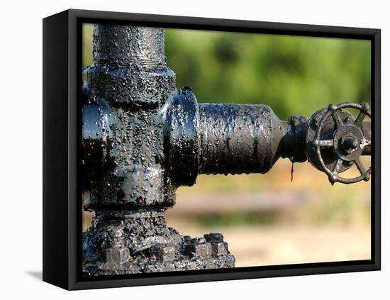 A Control Valve of an Oil Pump-null-Framed Stretched Canvas