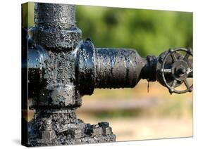 A Control Valve of an Oil Pump-null-Stretched Canvas